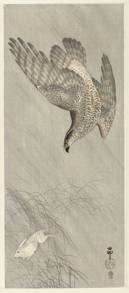 Hawk hunting for hare by Ohara Koson, 1900
