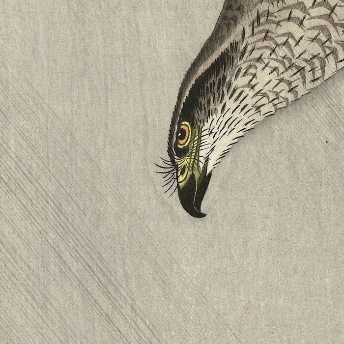 Hawk hunting for hare by Ohara Koson, 1900