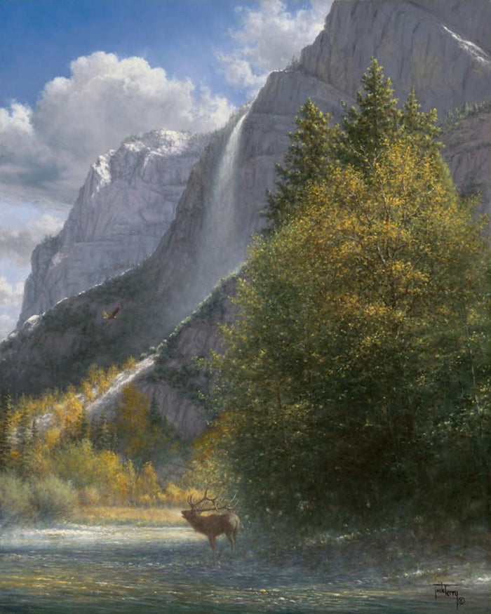 Jack Terry In the Shadows of the Almighty Elk Wildlife Art Prints