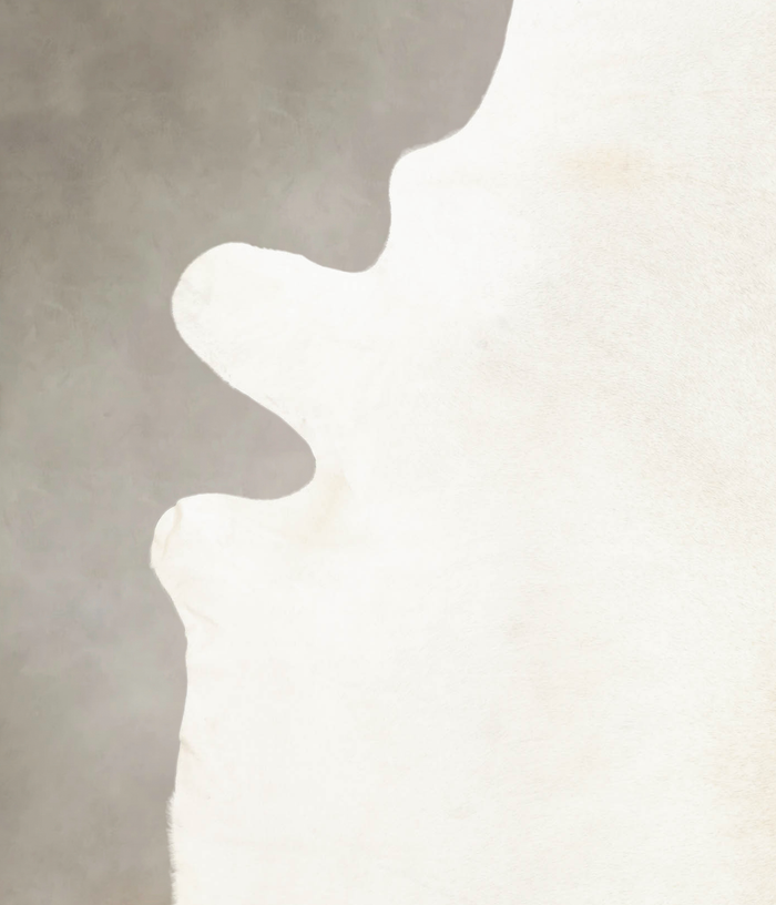 Ivory with Beige Cowhide Rug #B4528