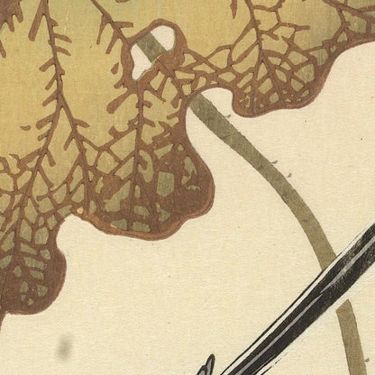 Japanese Wagtail on Lotus Plant by Ohara Koson, 1925