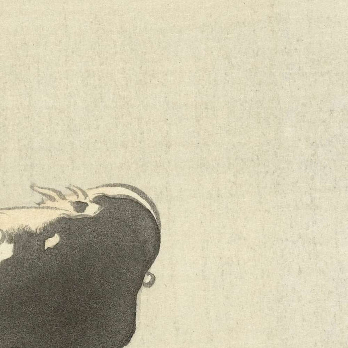 Jumping Carp by Ohara Koson, 1900