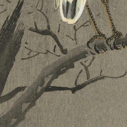Kwak on branch by Ohara Koson, 1900