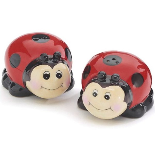 Ladybug Face Salt and Pepper Shaker Set