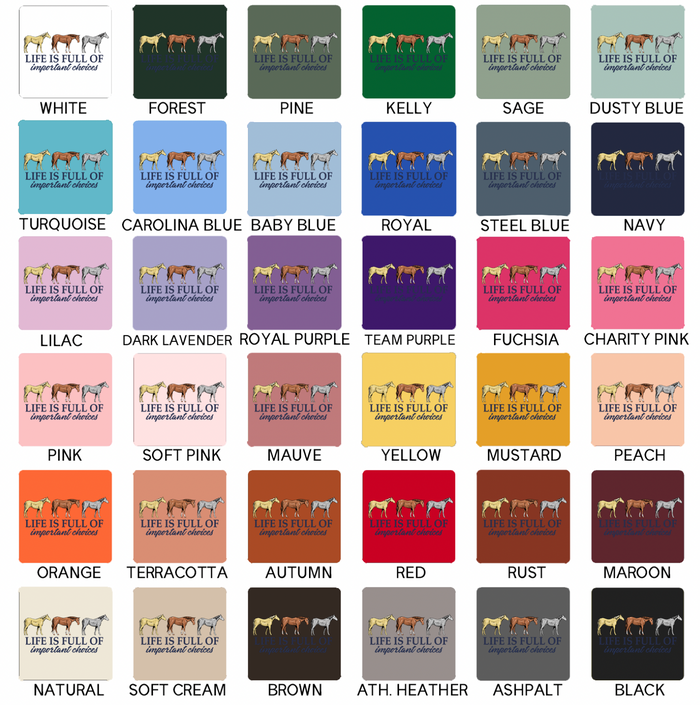 Life Is Full Of Important Choices- Bella Canvas T-Shirt