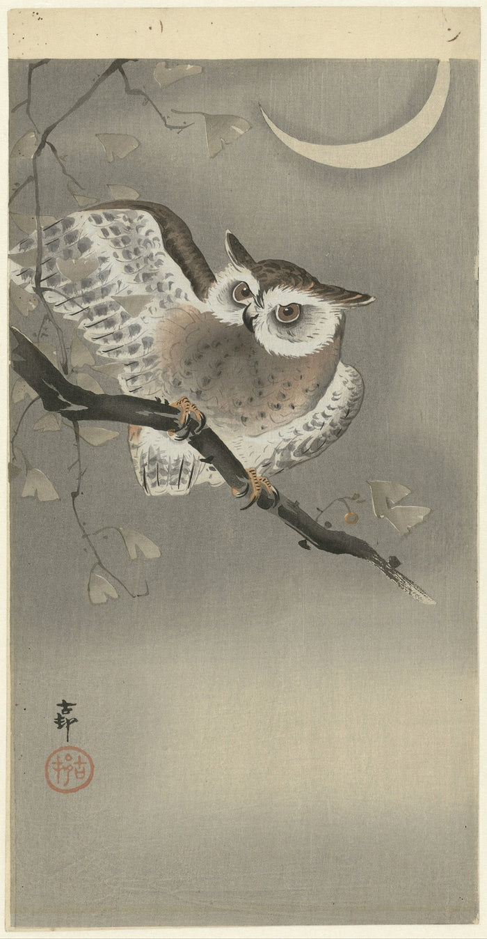 Long-eared Owl in Ginkgo by Ohara Koson, 1900