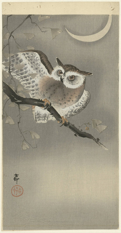 Long-eared Owl in Ginkgo by Ohara Koson, 1900