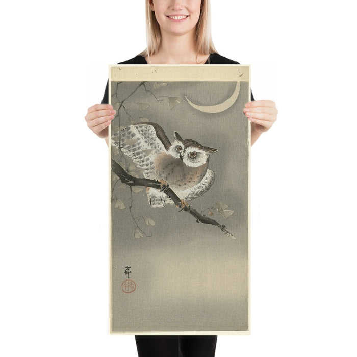 Long-eared Owl in Ginkgo by Ohara Koson, 1900