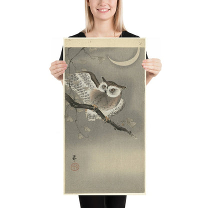Long-eared Owl in Ginkgo by Ohara Koson, 1900