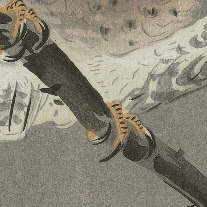 Long-eared Owl in Ginkgo by Ohara Koson, 1900