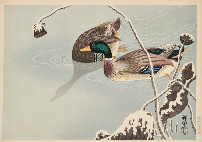 Mallards and Lotus under Snow by Ohara Koson, 1936