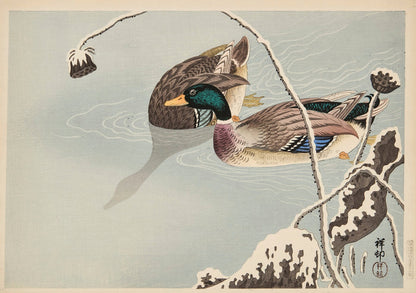 Mallards and Lotus under Snow by Ohara Koson, 1936