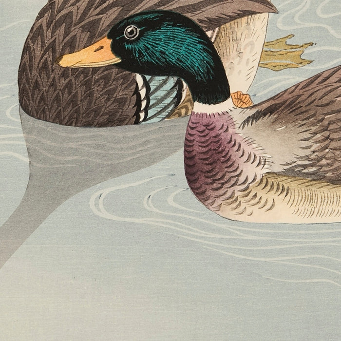 Mallards and Lotus under Snow by Ohara Koson, 1936