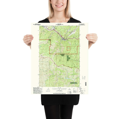 Map of Wallace, Idaho by USGS, 1995 – Coeur d’Alene National Forest & St. Joe National Forest
