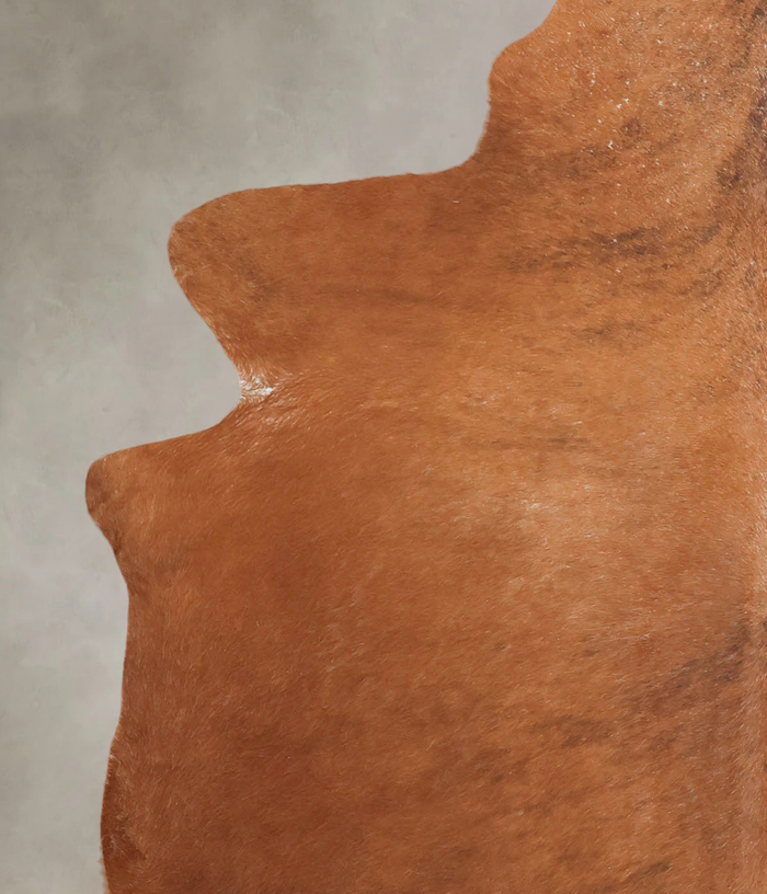 Medium Brindle Cowhide Rug #B3827
