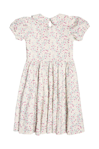 The Mini Alayna Play Dress in Ivory Pansy Trellis by Ivy City Co is a light-colored, short-sleeved girls’ spring dress with a Peter Pan collar, pink and blue floral pattern, fitted bodice, gathered waist, flared skirt, and button keyhole back.