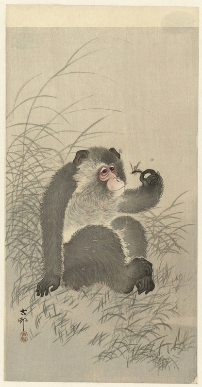 Monkey with Insect by Ohara Koson, 1900