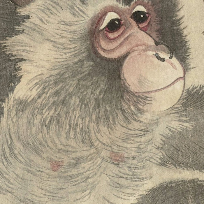 Monkey with Insect by Ohara Koson, 1900
