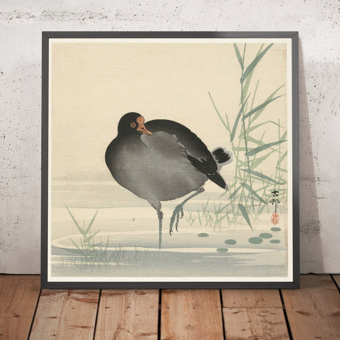 A framed image of