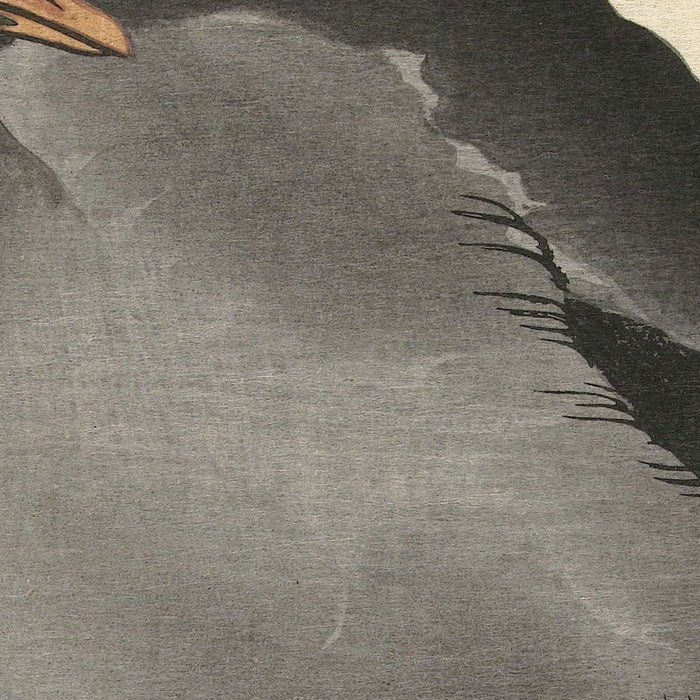 Moorhen II by Ohara Koson, 1900