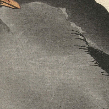 Moorhen II by Ohara Koson, 1900