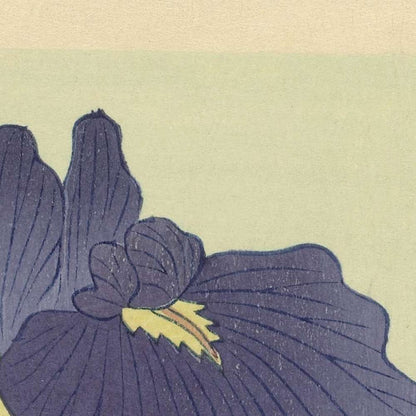 Moorhens and Iris by Ohara Koson, 1925
