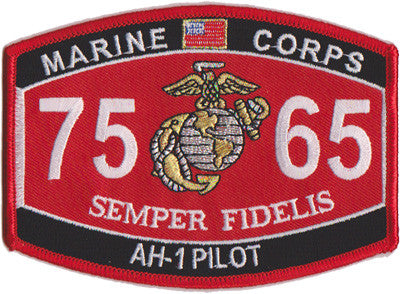 7565 AH-1 Pilot