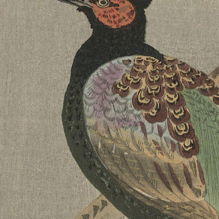 Pair of Pheasants and Cherry Blossom by Ohara Koson, 1900