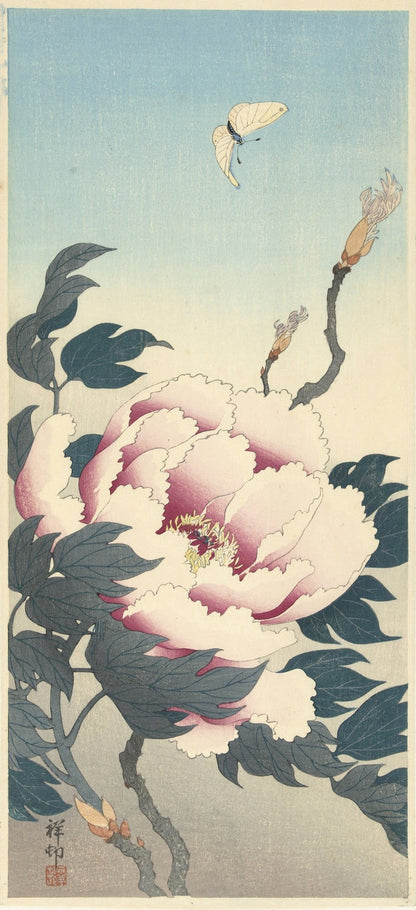 Peony with Butterfly by Ohara Koson, 1925