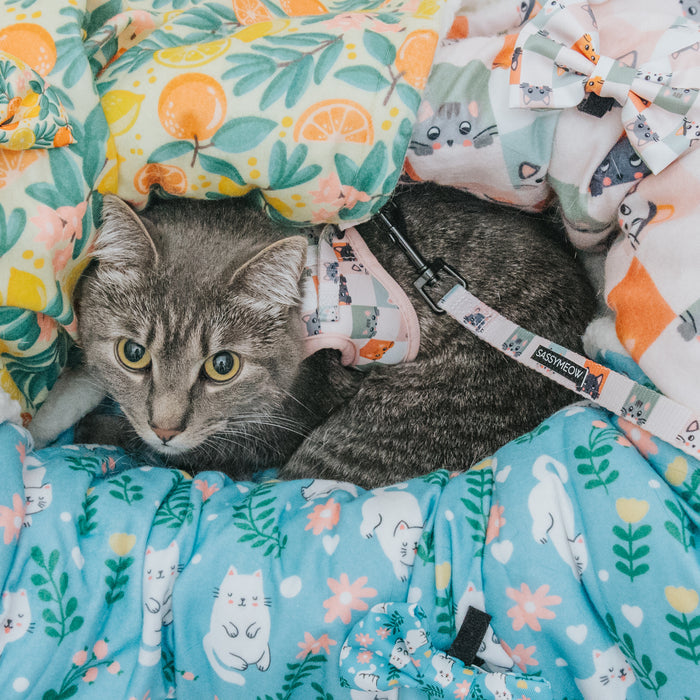 A gray tabby cat wearing a pastel harness lounges on Sassy Woof’s Pet Blanket - Smitten Kittens, surrounded by colorful microfiber blankets with floral patterns, oranges, and cartoon cat faces, looking up with wide, curious eyes.