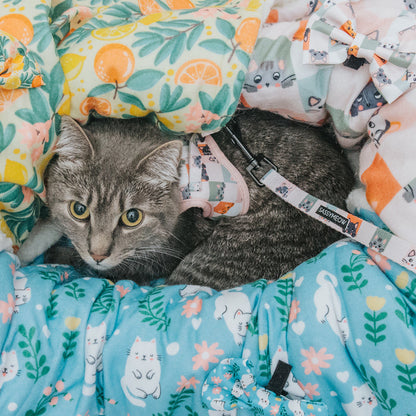 A gray tabby cat wearing a pastel harness lounges on Sassy Woof’s Pet Blanket - Smitten Kittens, surrounded by colorful microfiber blankets with floral patterns, oranges, and cartoon cat faces, looking up with wide, curious eyes.