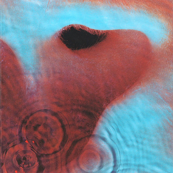 Pink Floyd Meddle - vinyl LP
