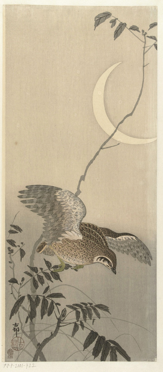 Quail at Sickle Moon by Ohara Koson, 1900
