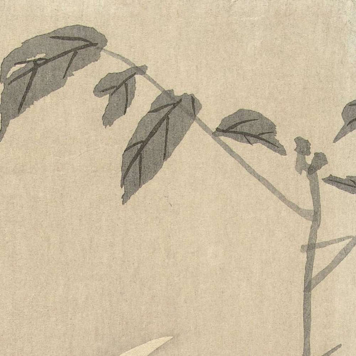 Quail at Sickle Moon by Ohara Koson, 1900