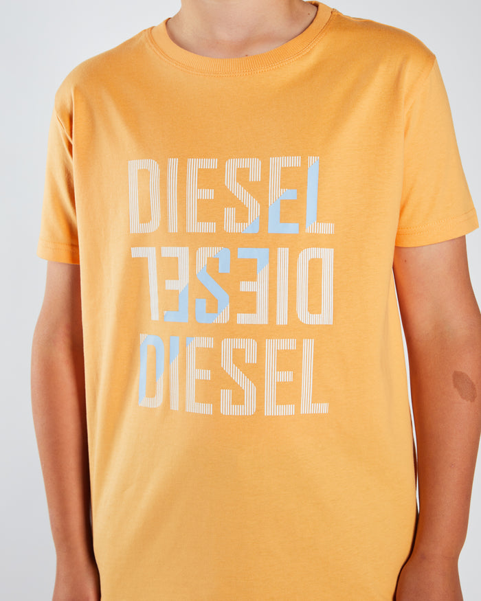 Radcliff Tee Coral
