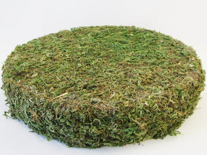 Round Moss Base