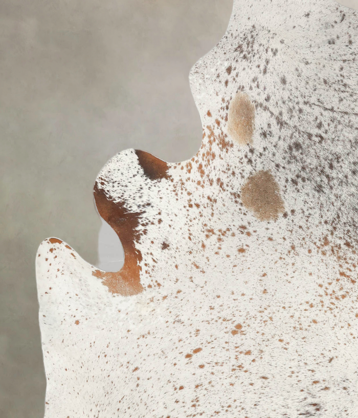 Salt and Pepper Brown Cowhide Rug #B3384