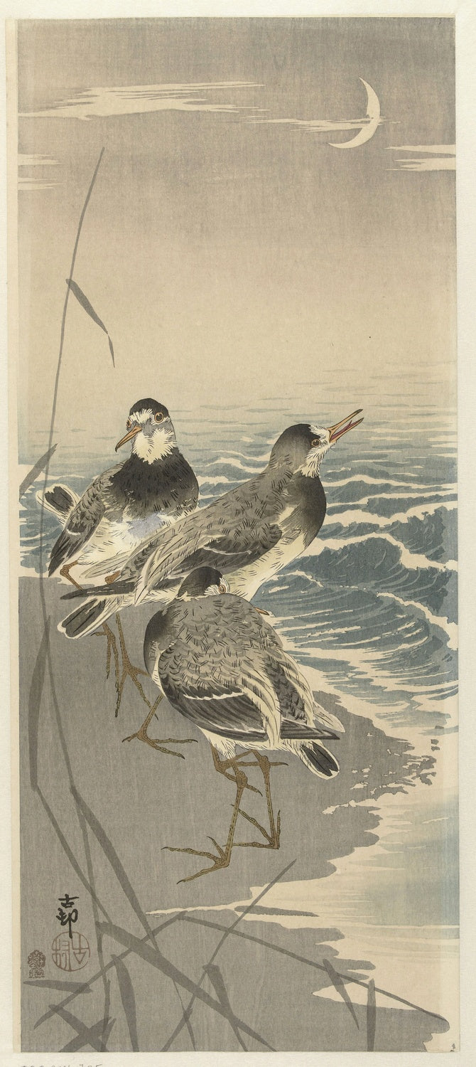 Sandpipers at Sickle Moon by Ohara Koson, 1900