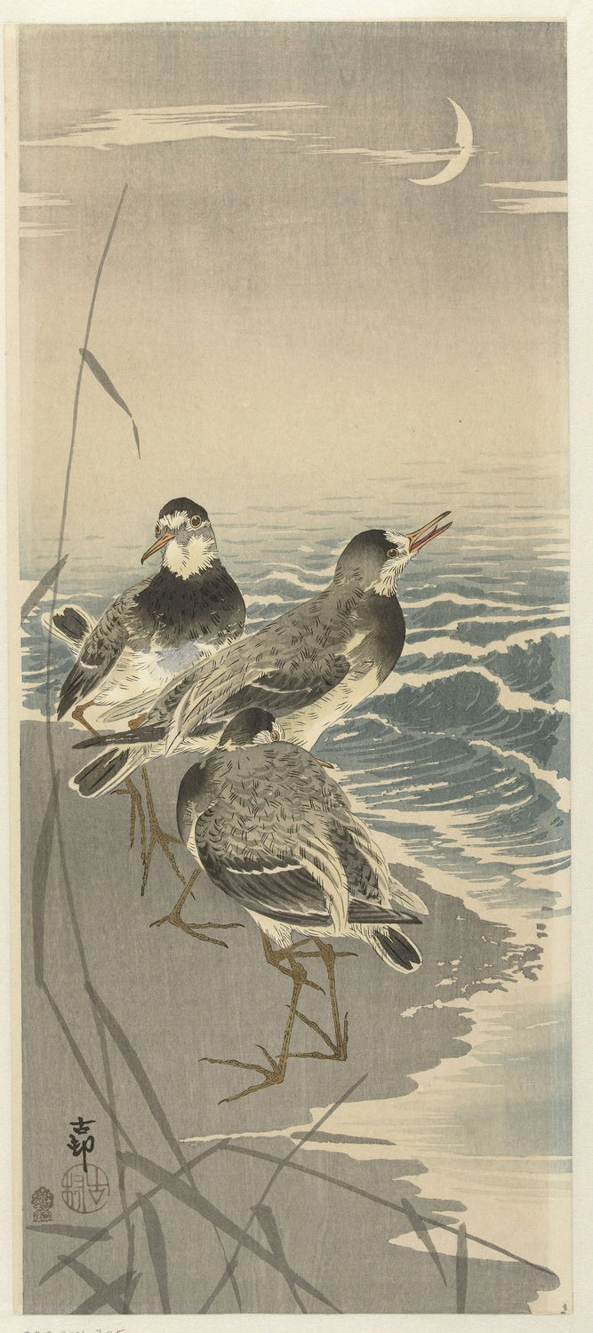 Sandpipers at Sickle Moon by Ohara Koson, 1900