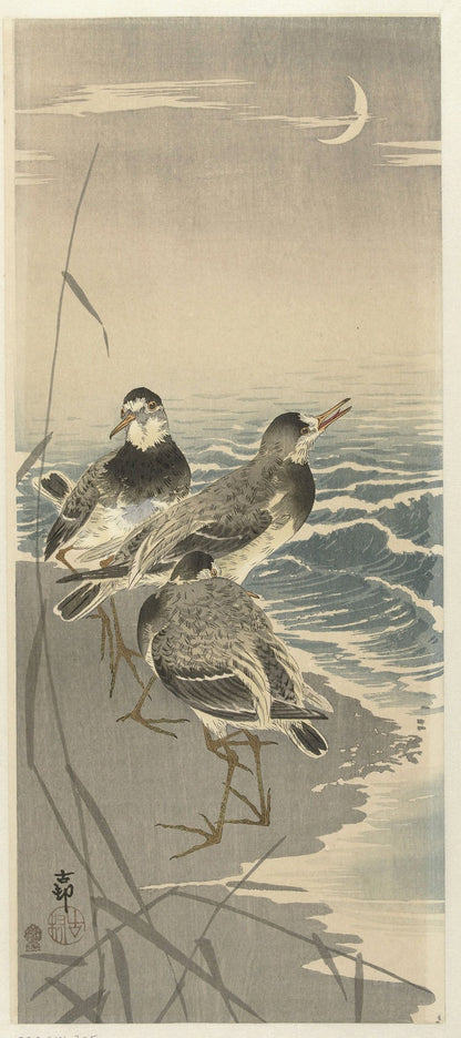 Sandpipers at Sickle Moon by Ohara Koson, 1900