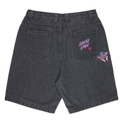 Santa Cruz Big Shorts UFO Winkowski
