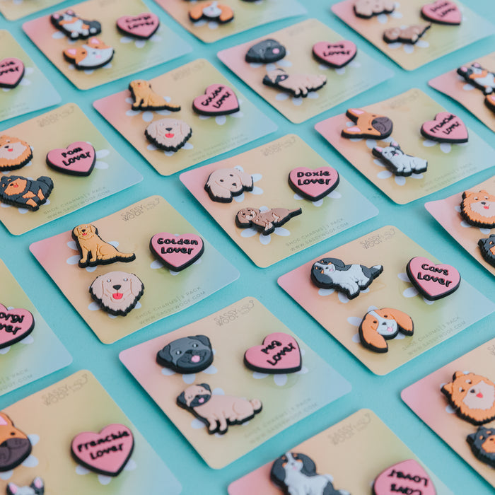 Sassy Woof Shoe Charm - Cavs: A colorful dog charm featuring a Cavalier King Charles Spaniel, displayed on a pastel backing card and arranged on a turquoise surface.