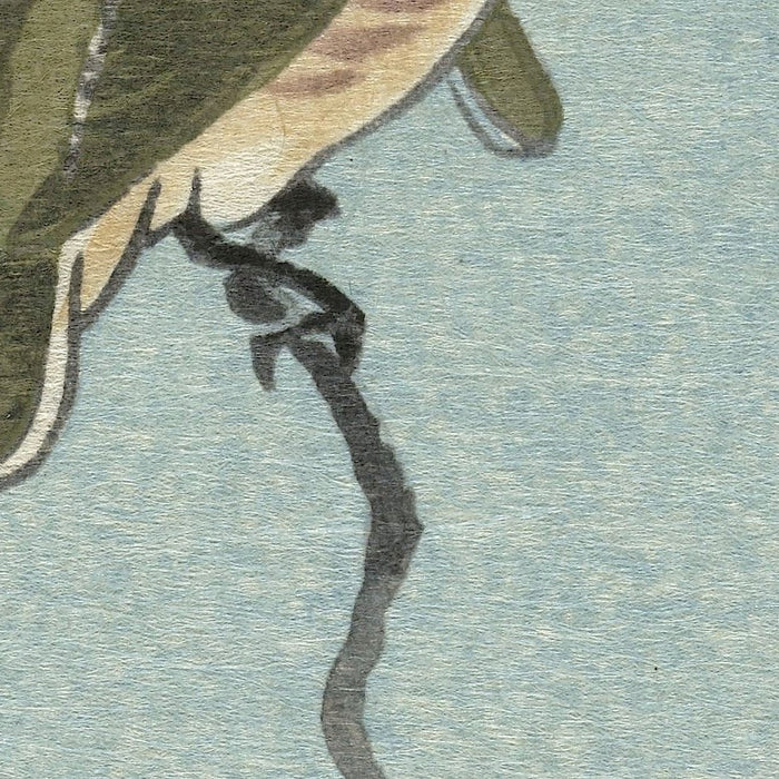 Small Birds on a Twig by Ohara Koson, 1900