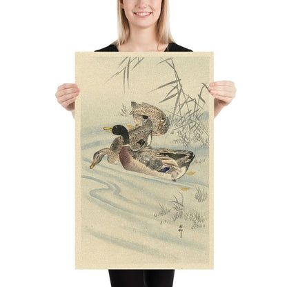 Three Ducks in Shallow Water with Reed by Ohara Koson, 1900