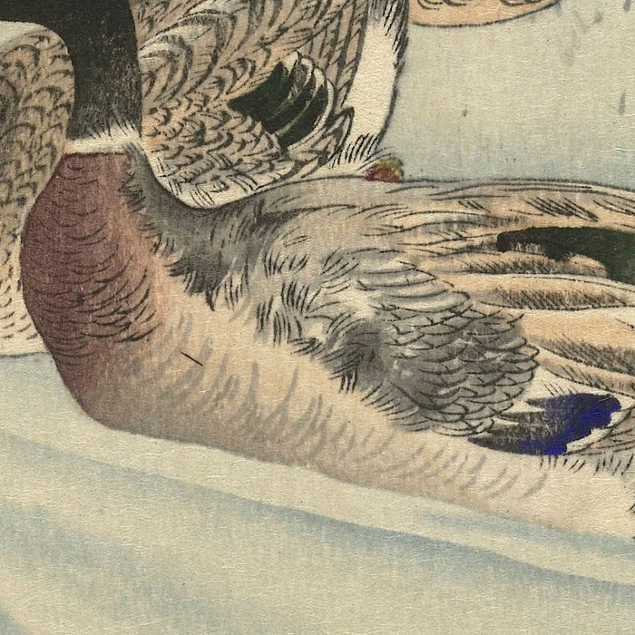 Three Ducks in Shallow Water with Reed by Ohara Koson, 1900