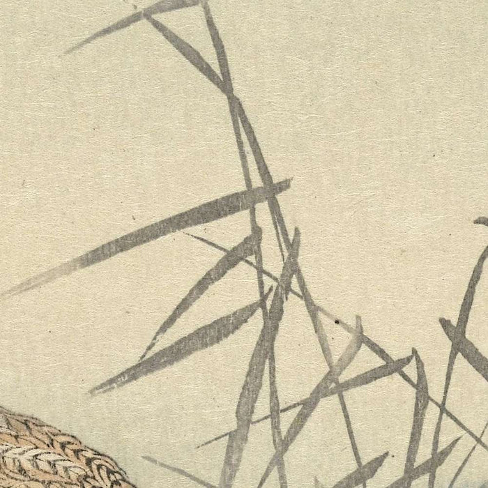 Three Ducks in Shallow Water with Reed by Ohara Koson, 1900