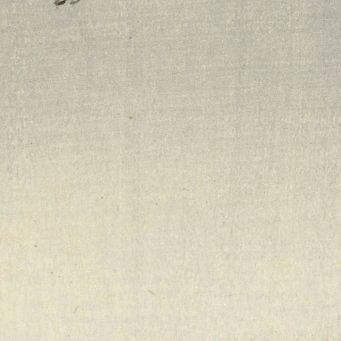 Three Gulls by Ohara Koson, 1900