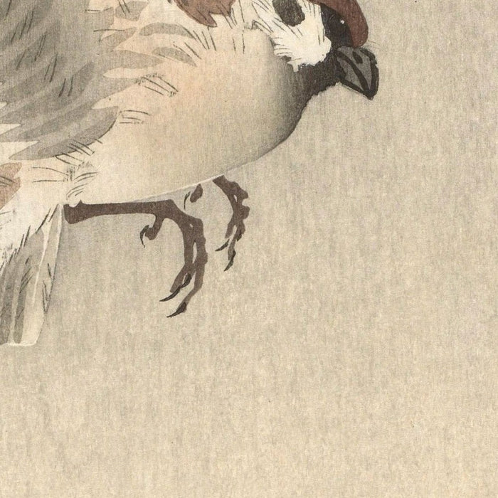 Tree sparrow with young by Ohara Koson, 1900