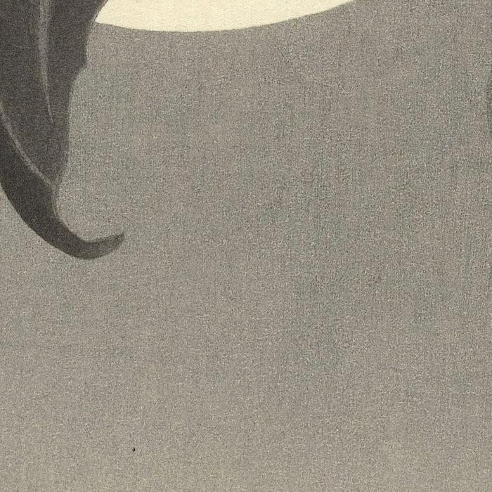 Two Bats at Full Moon by Ohara Koson, 1900