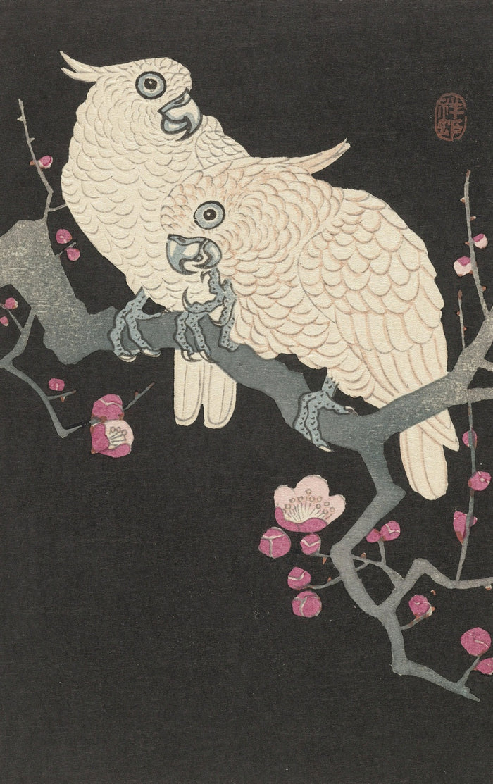 Two Cockatoo and Plum Blossom by Ohara Koson, 1925